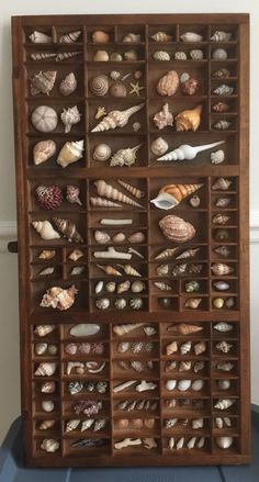 a wooden box filled with lots of different types of seashells