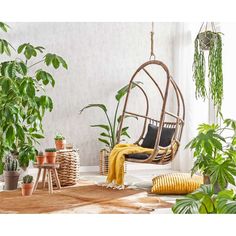 a room filled with lots of plants and hanging chairs