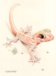 a drawing of a gecko sitting on the ground