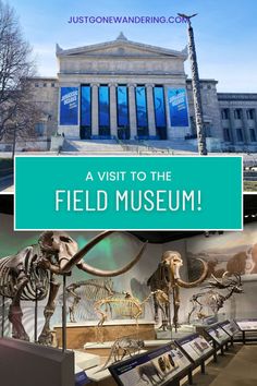 the field museum with text overlay that reads, a visit to the field museum