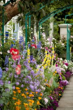 a garden with lots of colorful flowers growing in it