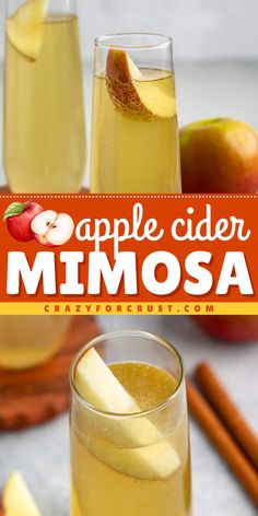 Your next get-together calls for a perfect alcoholic fall drink! It's an easy holiday drink using only 3 ingredients. With its amazing taste, this apple cider mimosa recipe is sure to be a hit! So, prepare a pitcher of this fall mimosa for a party! Mimosa Pitcher Recipe, Thanksgiving Mimosa, Breakfast Alcoholic Drinks, Thanksgiving Drinks Alcohol, Fall Mixed Drinks, Fall Mimosa, Fall Drinks Alcohol, Apple Cider Mimosa Recipe, Apple Cider Mimosa