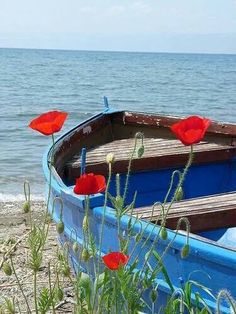 a blue boat sitting on top of a beach next to the ocean with red poppies