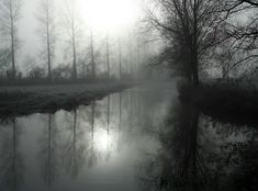 the sun shines through the foggy trees and water