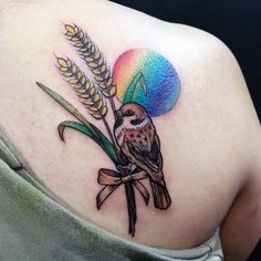 a bird sitting on top of a plant with a rainbow in the background tattoo design