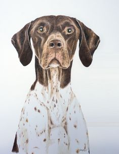 a brown and white dog with spots on it's face looking at the camera