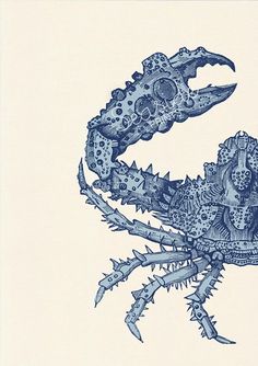 a cross stitch pattern of a blue lobster on cream background, framed in white frame