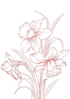 a drawing of some flowers on a white background