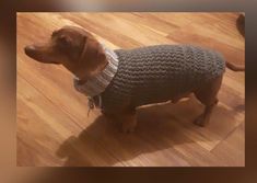 a brown dog wearing a sweater on top of a wooden floor