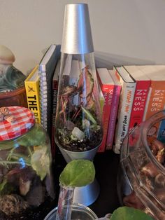 some plants and books are sitting on a table next to a blender filled with dirt