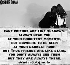 two people sitting on top of a stone wall with a quote above them that says, fake friends are like shadows always near you