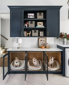 two dogs sitting in their kennels on top of the kitchen counter next to washer and dryer