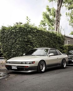 two cars parked next to each other in front of a bush and tree lined street