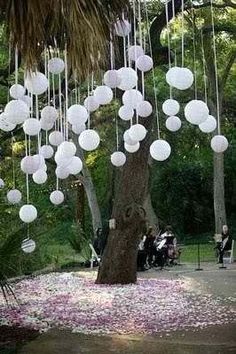 a group of people sitting under a tree with white balls hanging from it's branches