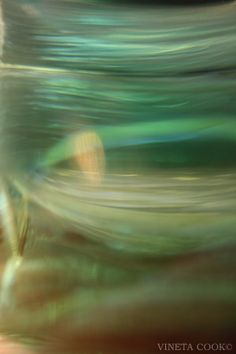 blurry photograph of water in a glass bottle with green and yellow colors on it