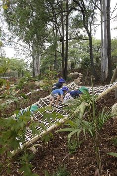 two people laying in a hammock surrounded by trees and plants on the ground