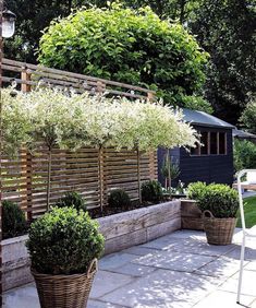 an outdoor patio with potted plants on the side and wooden fence in the background