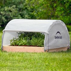 a garden in a greenhouse with the cover over it's top and plants growing inside