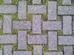 an image of a brick walkway with grass growing on it