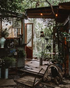 a room filled with lots of plants and potted plants on top of wooden floors