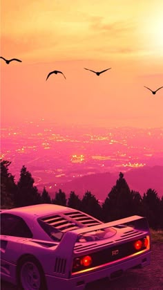 a white sports car parked on top of a hill with birds flying over the horizon