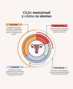 Menstrual Cycle Humor, Healthy Period, Beauty Skin Quotes, Work Out Routines Gym, Medicine Studies, Medicine Student, Menstrual Health, Happy Hormones, Medical Anatomy