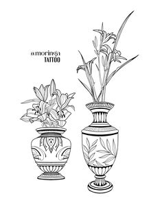 two vases with plants in them on a white background