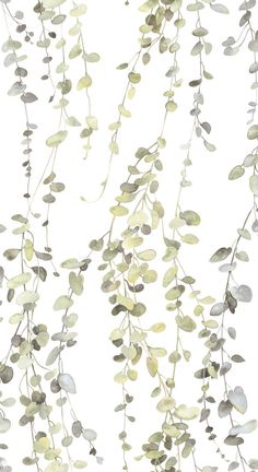 Hanging Watercolor Vines Peel & Stick Wallpaper in Taupe by York Wallcoverings Watercolor Vines, Modern Wallpaper Designs, Pattern Design Inspiration, Drops Patterns, York Wallcoverings, Peel Stick Wallpaper, Modern Wallpaper, Burke Decor, Ipad Wallpaper