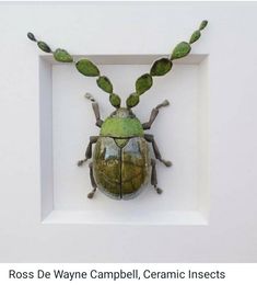 a green beetle is mounted in a white frame with leaves on it's back