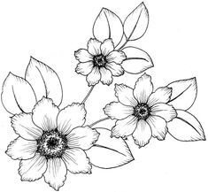 three flowers are shown in black and white on a white background, one is drawn by hand