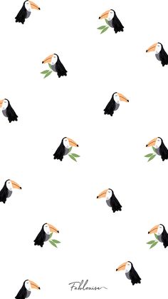 toucan birds on a white background with green leaves and the word, toucans