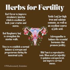 Herbs For Womb Healing, Herbs For Wellness, Herbs For Lubrication, Herbs To Boost Fertility, Herbs For Feminine Health, Vitex For Fertility, Herbs For Ovaries, Herbs To Help Get Pregnant, Herbs For Fertility Witchcraft