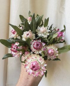 a hand holding a bouquet of pink and white flowers