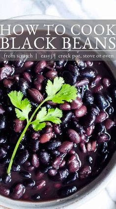 black beans in a white bowl with cilantro on top and the title overlay reads how to cook black beans from scratch / three ways to easy