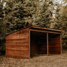 an outhouse in the woods with trees around it