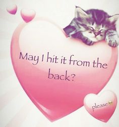 a cat laying on top of a pink heart with the words, may i hit from the back?