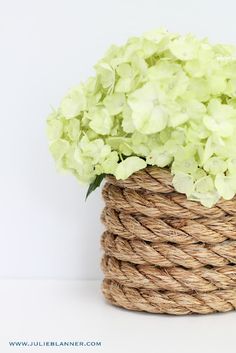 a close up of a flower in a rope basket on a white background with green hydrangeas