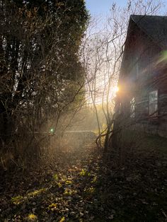 the sun shines brightly through the trees and leaves in front of a house on a foggy day