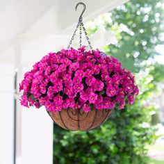 a hanging basket filled with pink flowers in front of a house