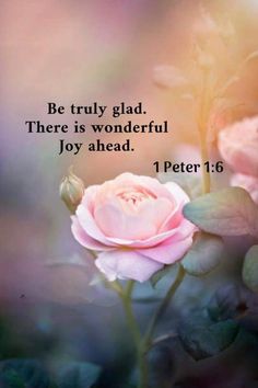 a pink rose with the words be truly glad there is wonderful joy ahead 1 peter 16