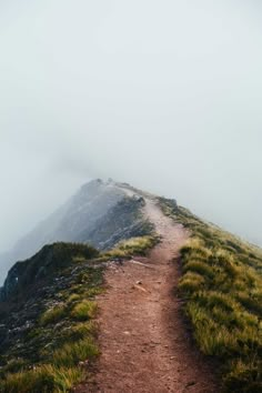 a trail going up the side of a mountain covered in grass and fog on a cloudy day