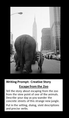 an elephant and two zebras walking down the street in front of tall buildings with words describing writing prompt creative story escape from the zoo