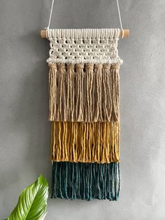 a macrame wall hanging with different colors and fringes on the side, next to a green plant