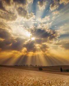 the sun shining through clouds over a wheat field