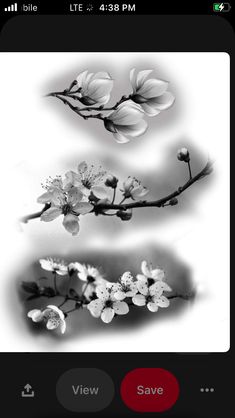 black and white photograph of flowers on branch with red circle around the bottom right corner