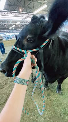 a person is holding onto a rope attached to a cow's head in an indoor arena