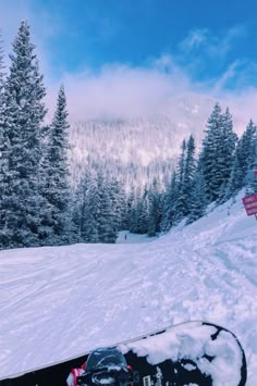 a snowboarder is standing in the snow with trees and mountains in the background