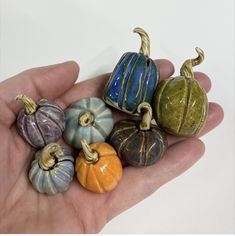 a hand holding seven miniature pumpkins in different colors