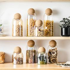 several jars filled with different types of food on top of a wooden shelf next to a potted plant