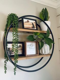 a circular shelf with some plants and pictures on the top, along with two framed photos